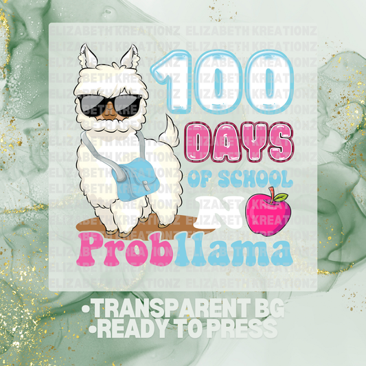 NO PROBLLAMA PINK DTF TRANSFER